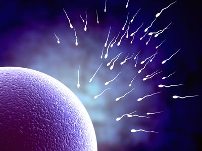 Sperm Sayısı Nasıl Artırılır?